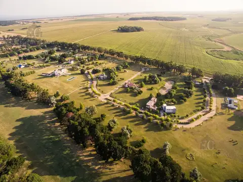 Terreno en Venta de 710,0 m2