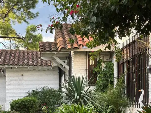 San pio XII 36 100