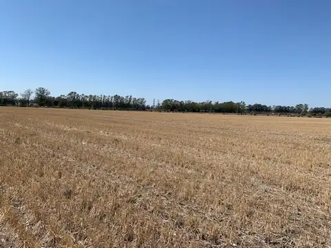Campo 14 hect Agricolas Ramallo