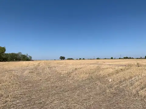 Campo 14 hect Agricolas Ramallo