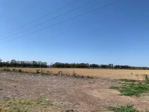 Camino De La Costa Ramallo