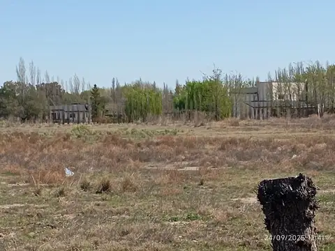 Consultar dirección