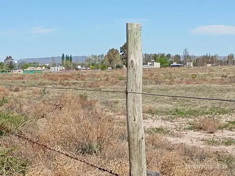 VENTA 4 HECTAREAS EN SAN RAFAEL MENDOZA