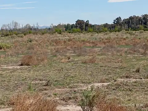 Consultar dirección