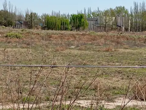 VENTA 4 HECTAREAS EN SAN RAFAEL MENDOZA