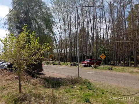 VENTA 4 HECTAREAS EN SAN RAFAEL MENDOZA