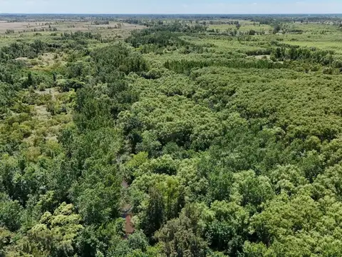 VENTA 8 HECTÁREAS EN SECCIÓN 1, ISLAS DEL PARANÁ