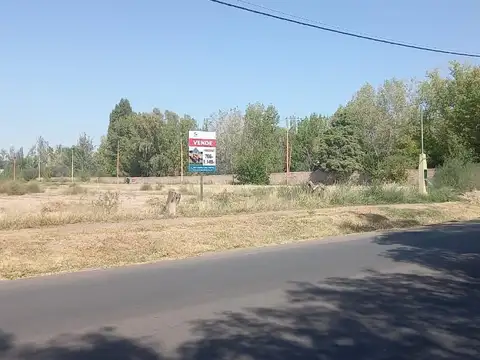 Fracciones de Terreno en Venta -calle Alsina-