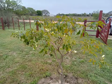 VENDO IMPORTANTE QUINTA EN ESQUINA CORRIENTES!!!