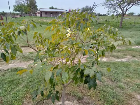 Quinta en Venta al Oeste