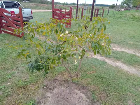 Quinta en Venta 7 años