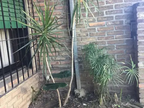 Diputado Finochietto 2000