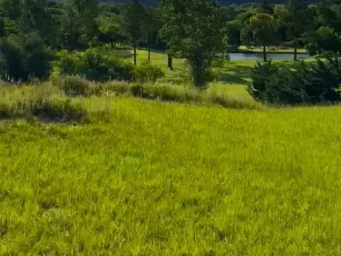 Venta Lote Premium Con Salida A La Cancha De Golf (L8,Mza8) De 1650 Mts En Country Carlos Paz Golf