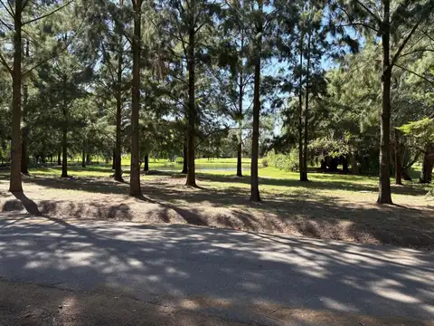 Terreno en Venta de 1200,0 m2