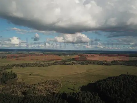 Campo en Venta de 56  ha