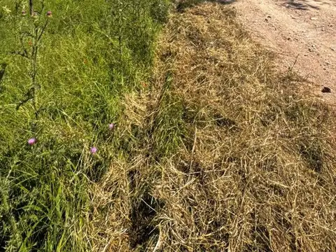 Terreno en Venta de 2869,0 m2