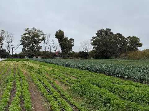 Terreno Fraccion  en Venta en Belen de Escobar, Escobar, G.B.A. Zona Norte