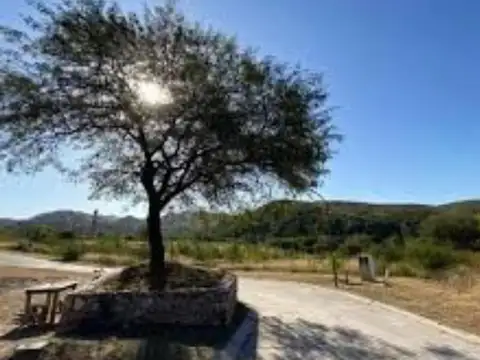 Terreno en Venta en Colinas De La Deseada, USD 45.000