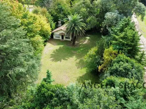 El Caramba, El Remanso.