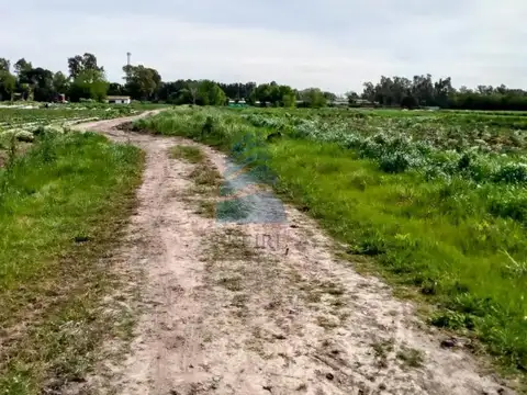 VENTA DE CAMPO EN MANZONE