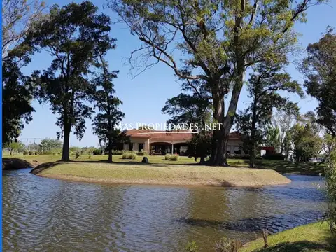 Terreno en Venta 31  mts Fondo