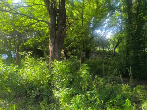Terreno en Venta de 1150,0 m2