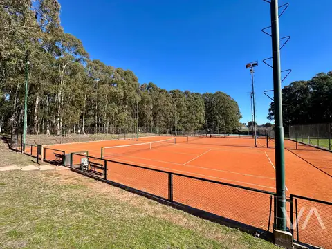 Avenida Jorge Newbery 5000