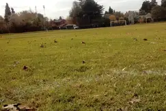 Campos de Echeverria - Foto 8