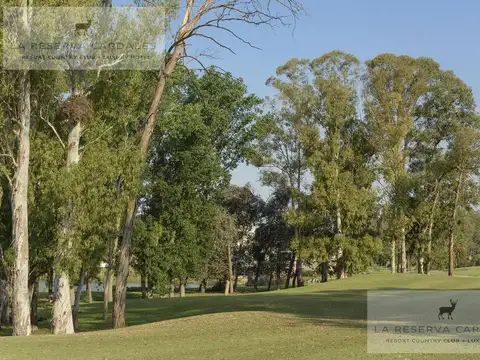 Terreno en Venta 26  mts Fondo