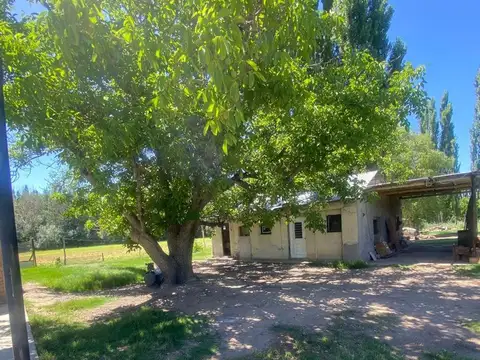 Venta de fracción de chacra – Cinco Saltos