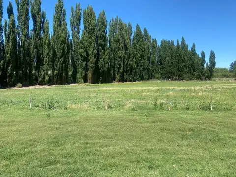 Venta de fracción de chacra – Cinco Saltos