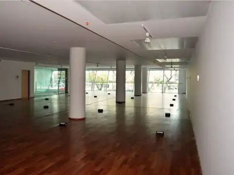 Carlos Pelegrini 600