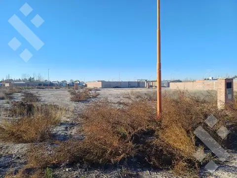 Terreno en Venta de 350,0 m2