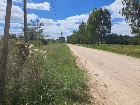 LOTE en VENTA en DOMSELAAR, ALEJANDRO KORN