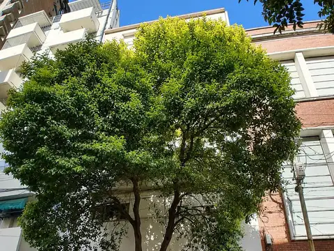 Ecuador 200