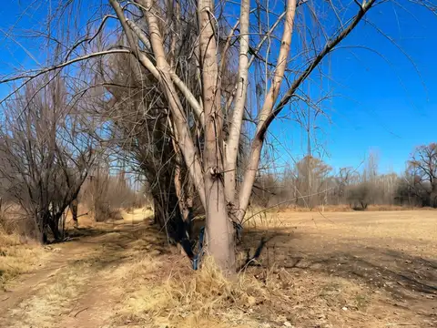 Venta Lote Tunuyán