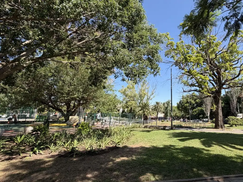 Emprendimiento en Saavedra