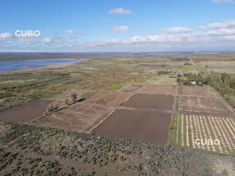 El Carrizal de Abajo, Lujan de Cuyo , Mendoza