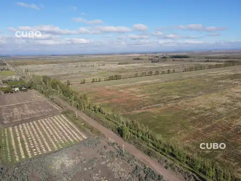 Terreno en Venta en Carrizal De Abajo, USD 150.000