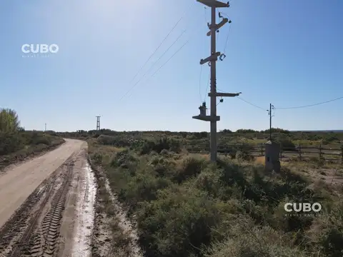 El Carrizal de Abajo, Lujan de Cuyo , Mendoza