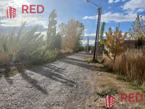 Terreno en Venta 12  mts Frente