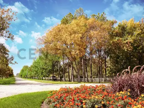 Terreno en Venta de 648,0 m2