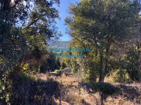 Terreno en Venta en Meliquina, USD 38.000