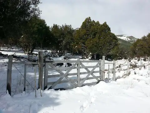 Terreno en Venta de 1000,0 m2