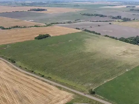 Campo en Venta en San Andres de Giles, Partido de San Andrés de Giles