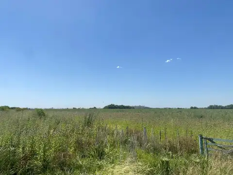 campo de 29 has agricolas en Venta en Villa Ruiz