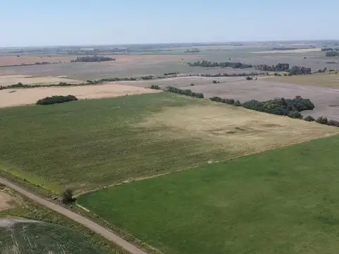 campo de 29 has agricolas en Venta en Villa Ruiz