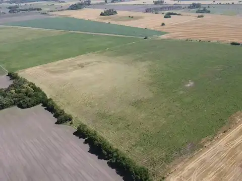 campo de 29 has agricolas en Venta en Villa Ruiz