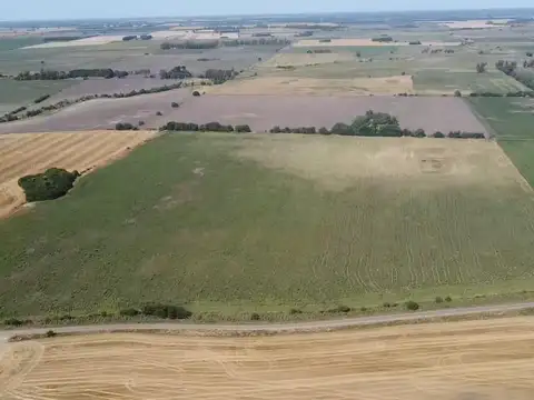 Campo en Venta de 29  ha
