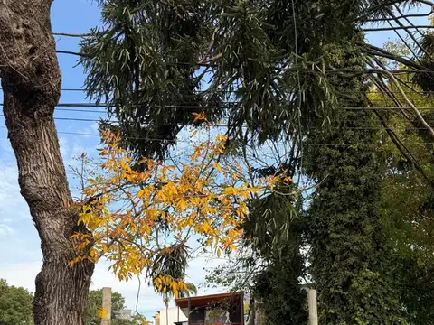 Terreno en Venta en Ciudad De Tigre, USD 160.000